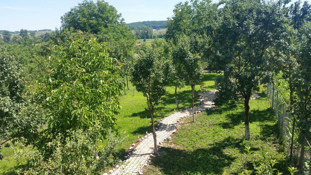 Casa Agnes Vendeghaz Hotel Fantanele  Buitenkant foto