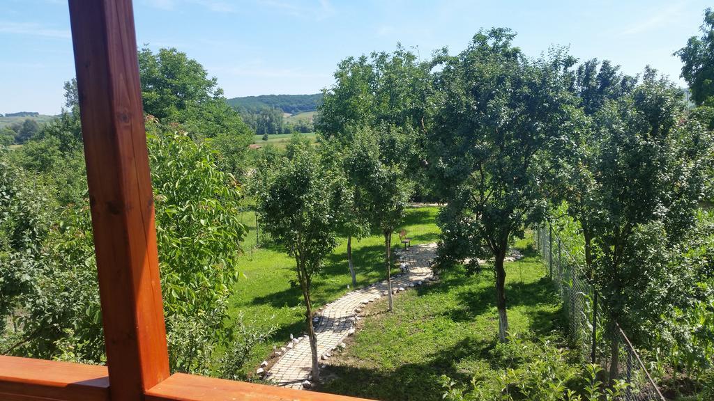 Casa Agnes Vendeghaz Hotel Fantanele  Buitenkant foto