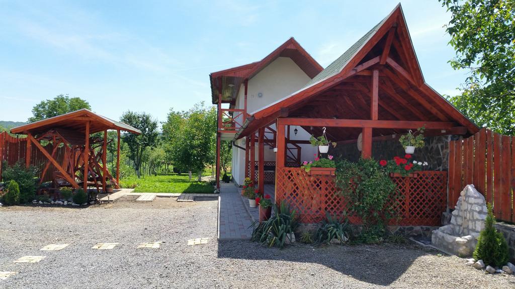 Casa Agnes Vendeghaz Hotel Fantanele  Buitenkant foto