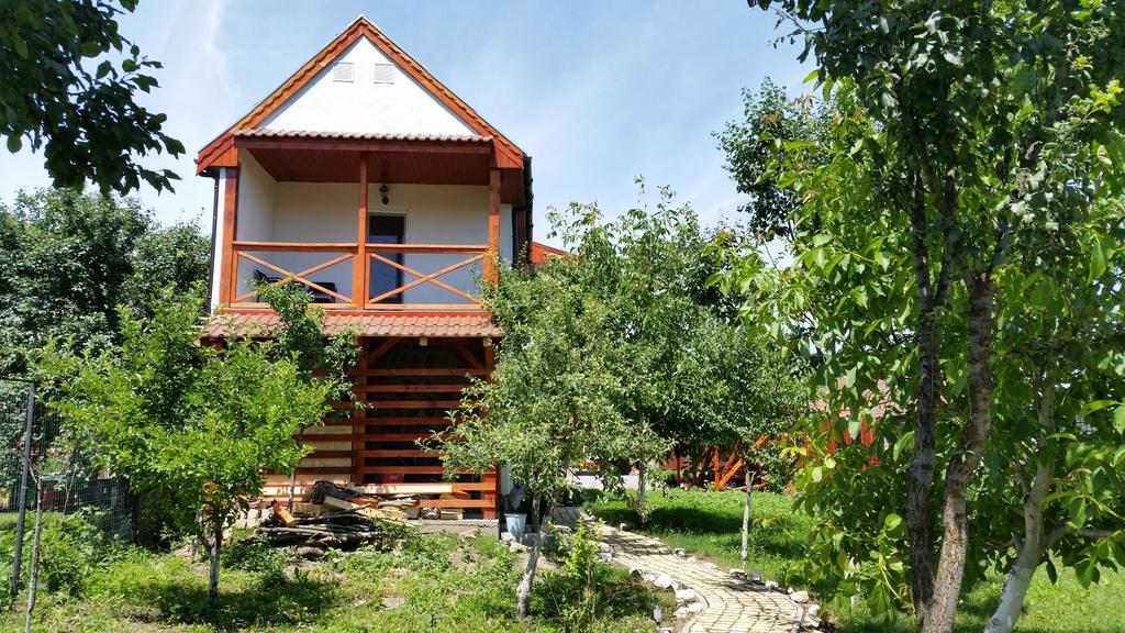 Casa Agnes Vendeghaz Hotel Fantanele  Buitenkant foto