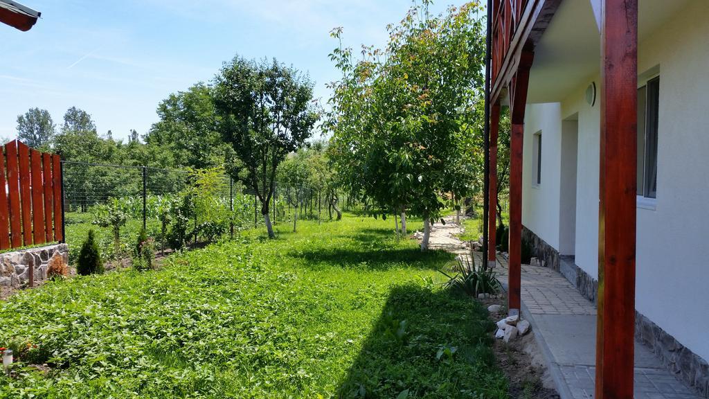 Casa Agnes Vendeghaz Hotel Fantanele  Buitenkant foto